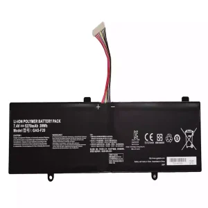 Batteria per portatile GAS-F20