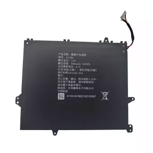 Batteria per portatile 3171F6