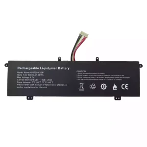 Batteria per portatile 4567250-2SP