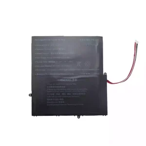 Batteria per portatile 4878145-2S1P
