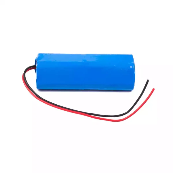 Batteria di ricambio per ZNB III ZNB -300 ZNB-500 ZNB-600 ZNB-1000 ZNB-1200 - immagine 3