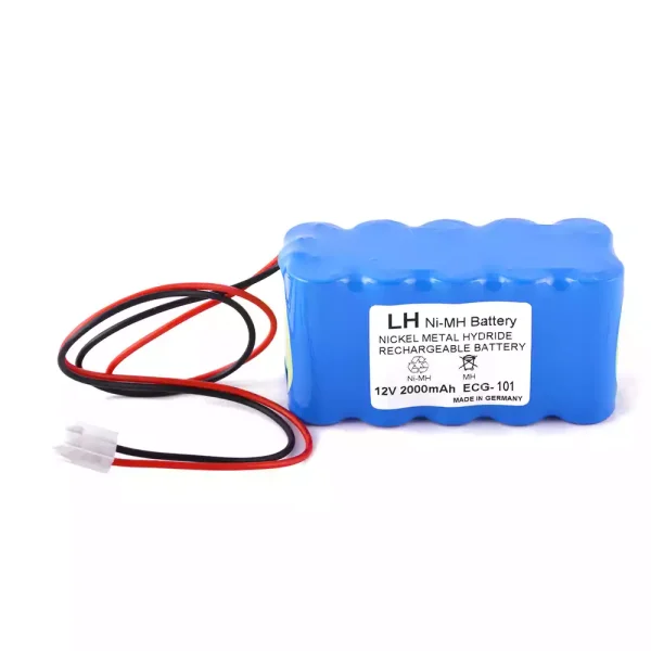 Batteria di ricambio per Biocare ECG-300G ECG-101A ECG-101G