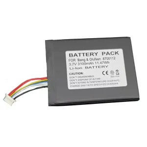 Batteria per altoparlanti Bang & Olufsen BeoSound Moment,8700112