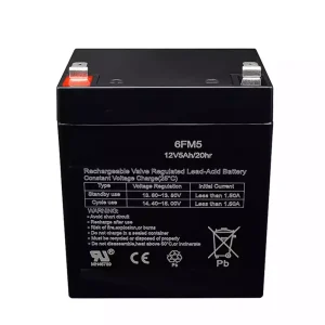 Batteria per altoparlanti Philips SD75/93,6FM5