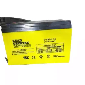Batteria per LEAD CRYSTAL 6-CNFJ-14