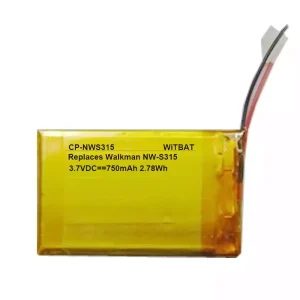 Batteria per SONY Walkman NW-S313 NW-S315,AHB303450